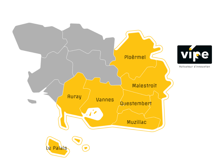 Carte Vipe