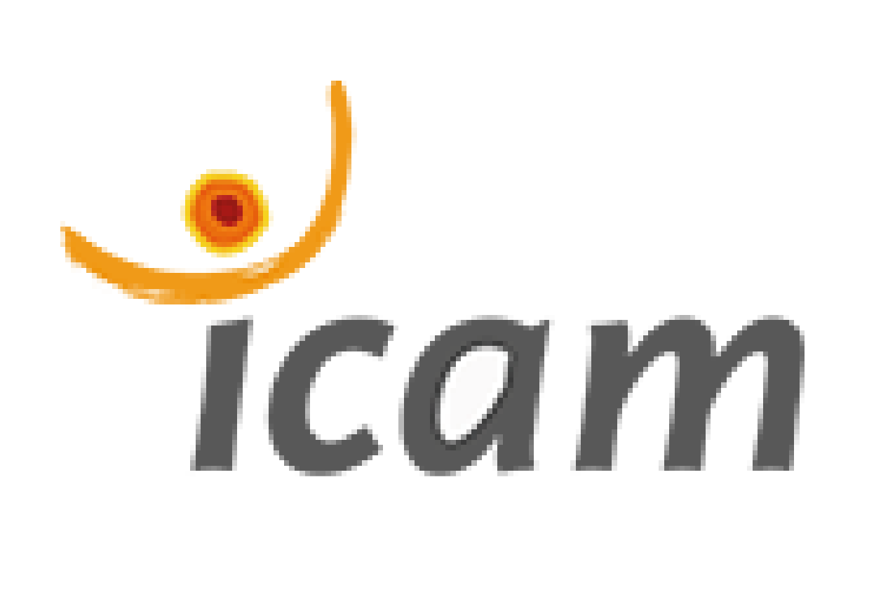 Logo Icam