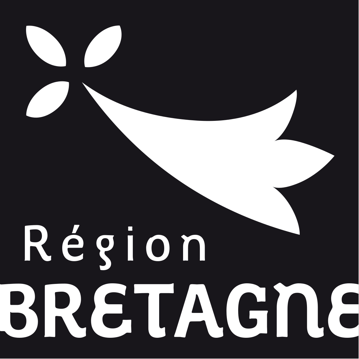 Logo Région Bretagne Fond Noir