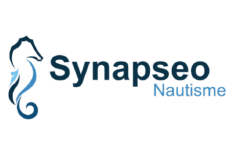 Logo Synapseo