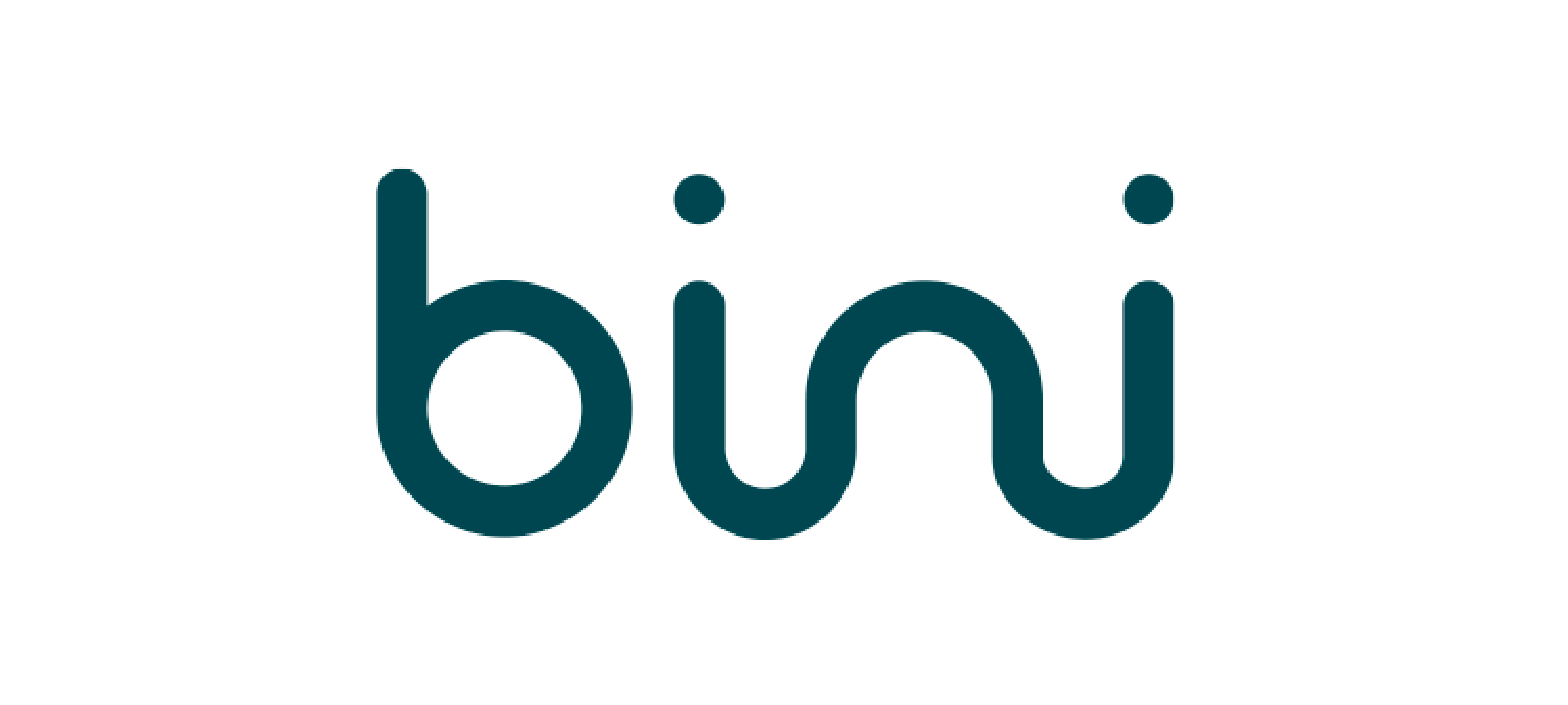 Logo Bini 450x300px