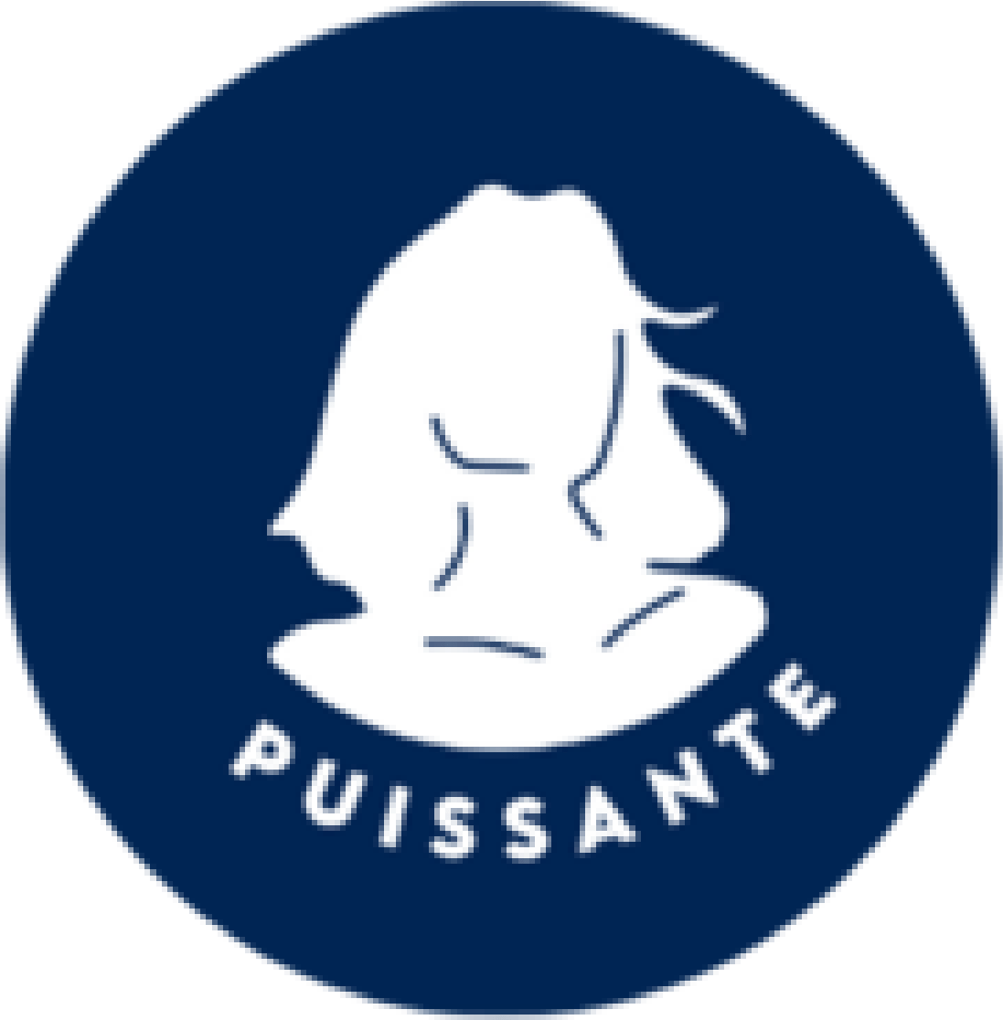 Logo Puissante 450x300px