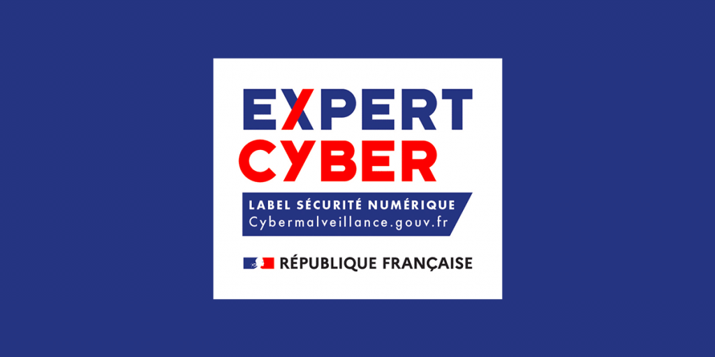 Logo Expert Cyber Fond Bleu
