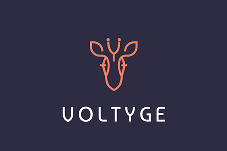 Logo Voltyge 450x300px