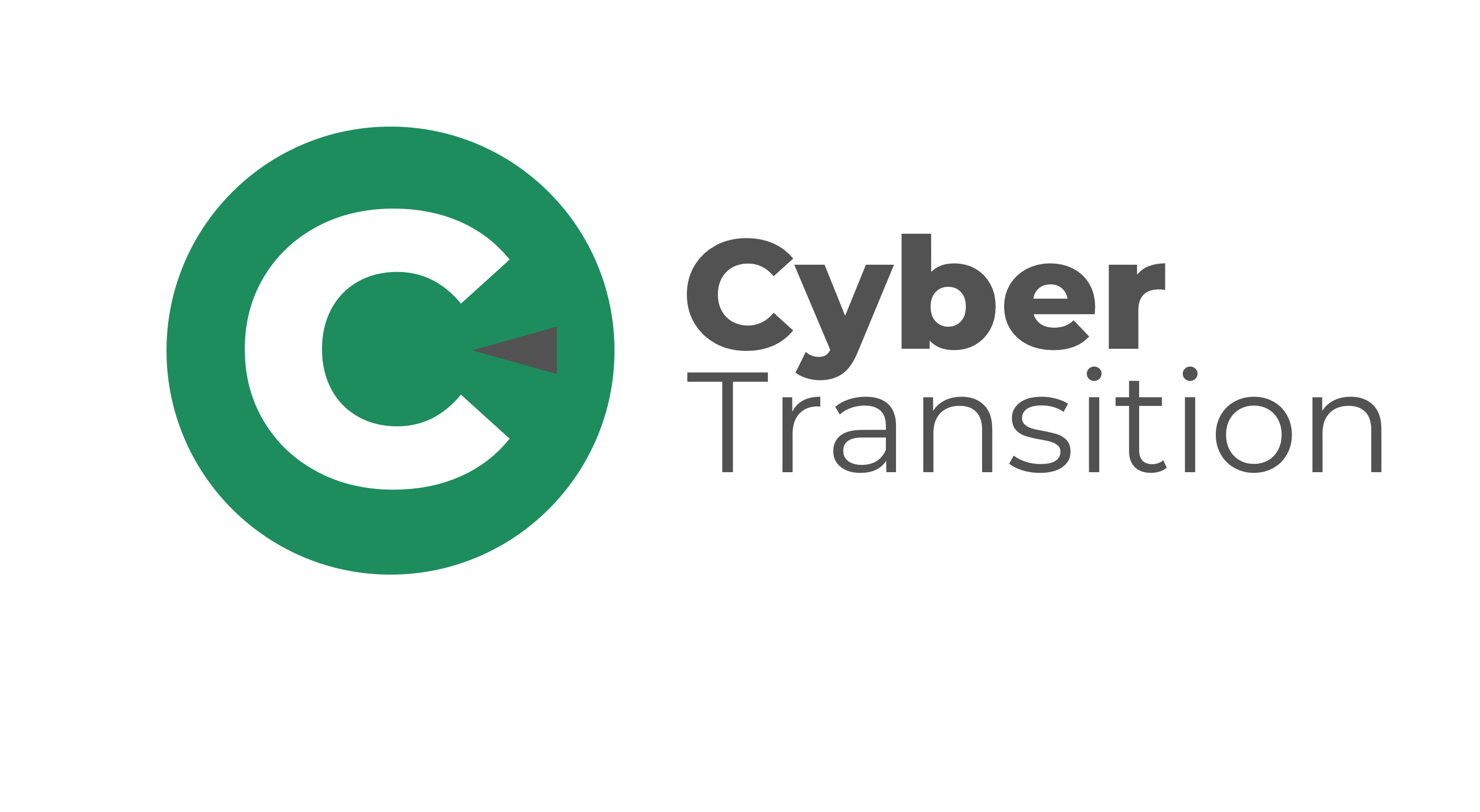 Cyber Transition