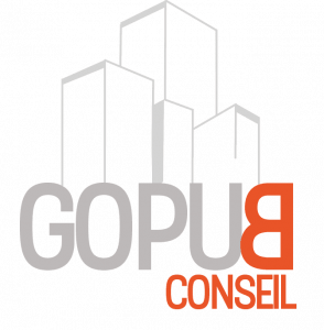 Logogopubconseil 294x300