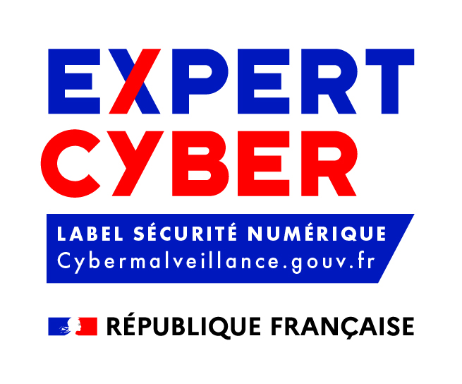 Logo Expertcyber Cmjn