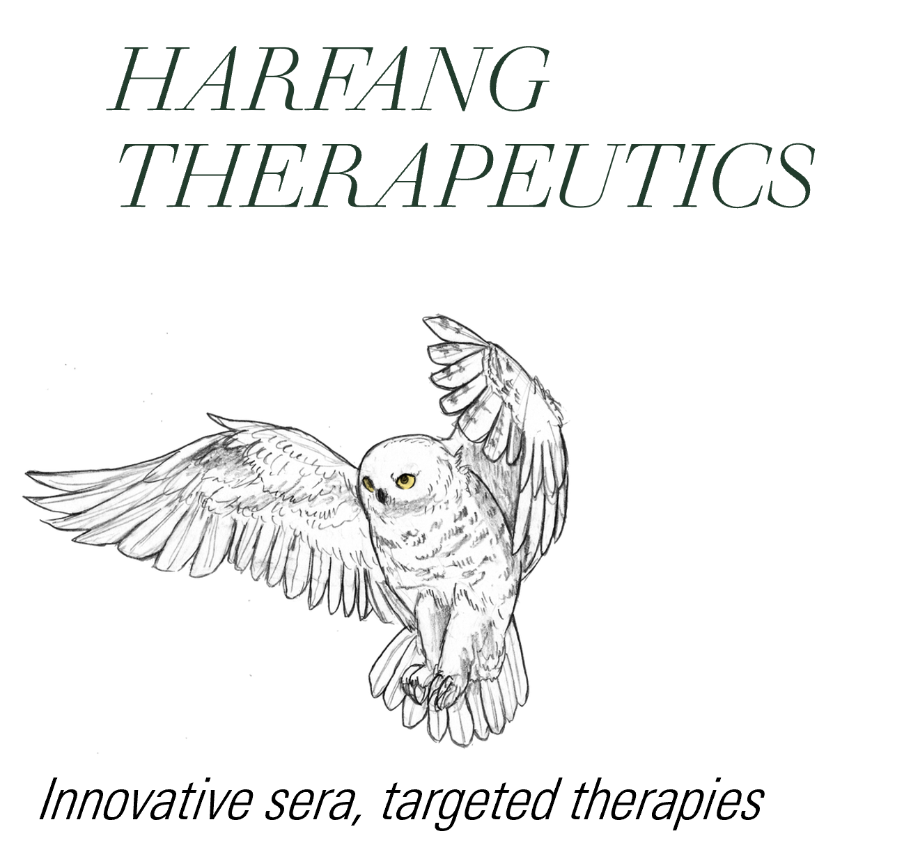 Harfang