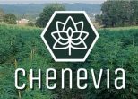 Chenevia : l’industrie du cannabis thérapeutique est en marche