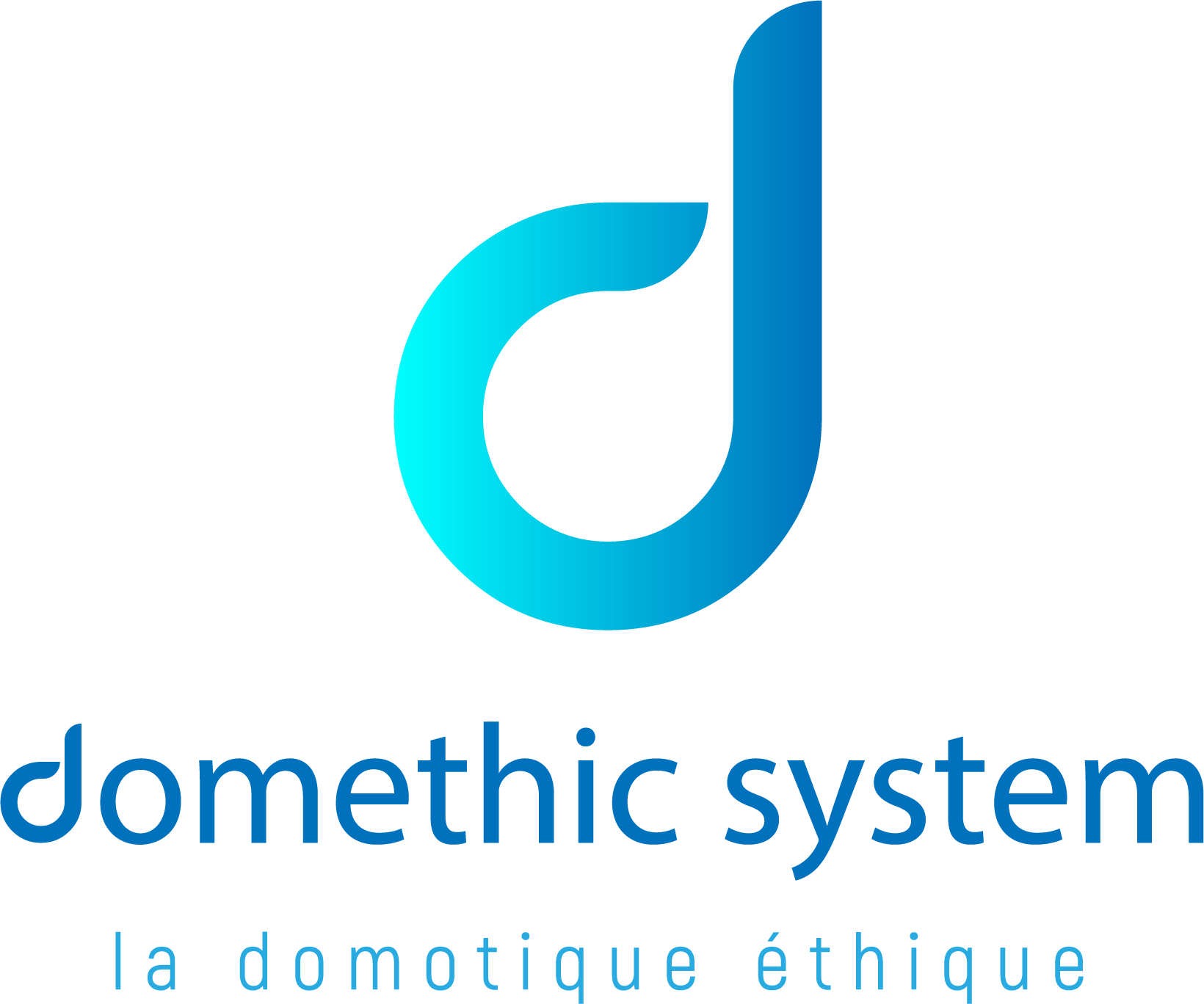 Domethic System Fond Transparent