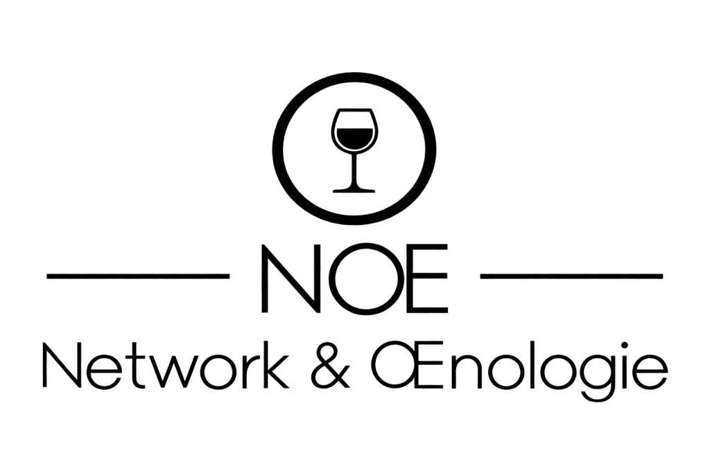 Logo Noé Network Et œnologie