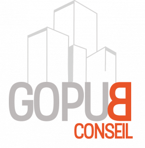 Logogopubconseil 294x300 1