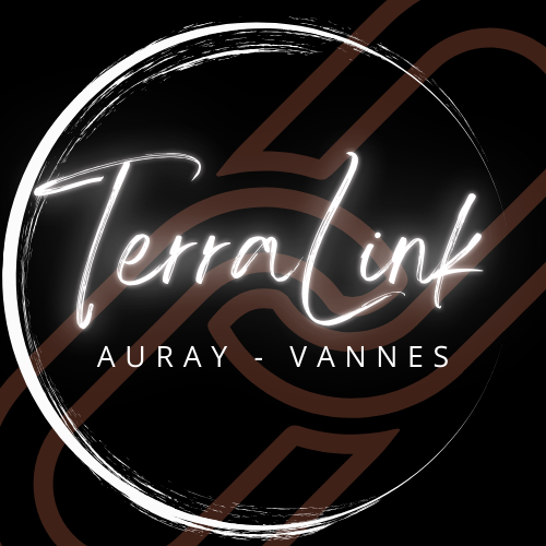 Terralink Logo Noir 3