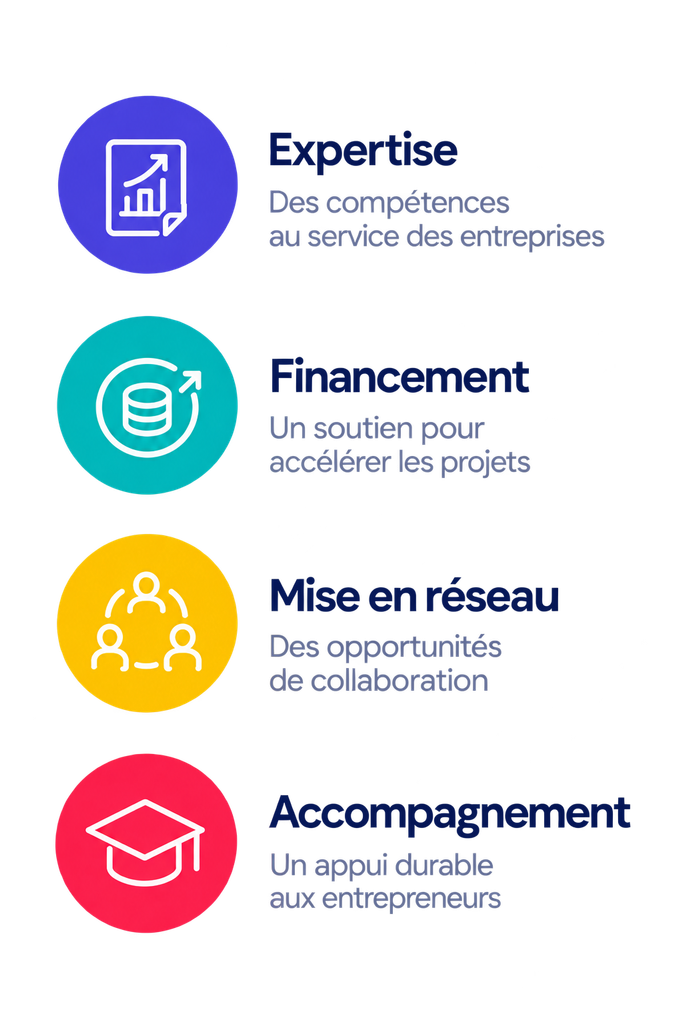 Expertise Financement Mise En Reseau Accompagnement Partenaires