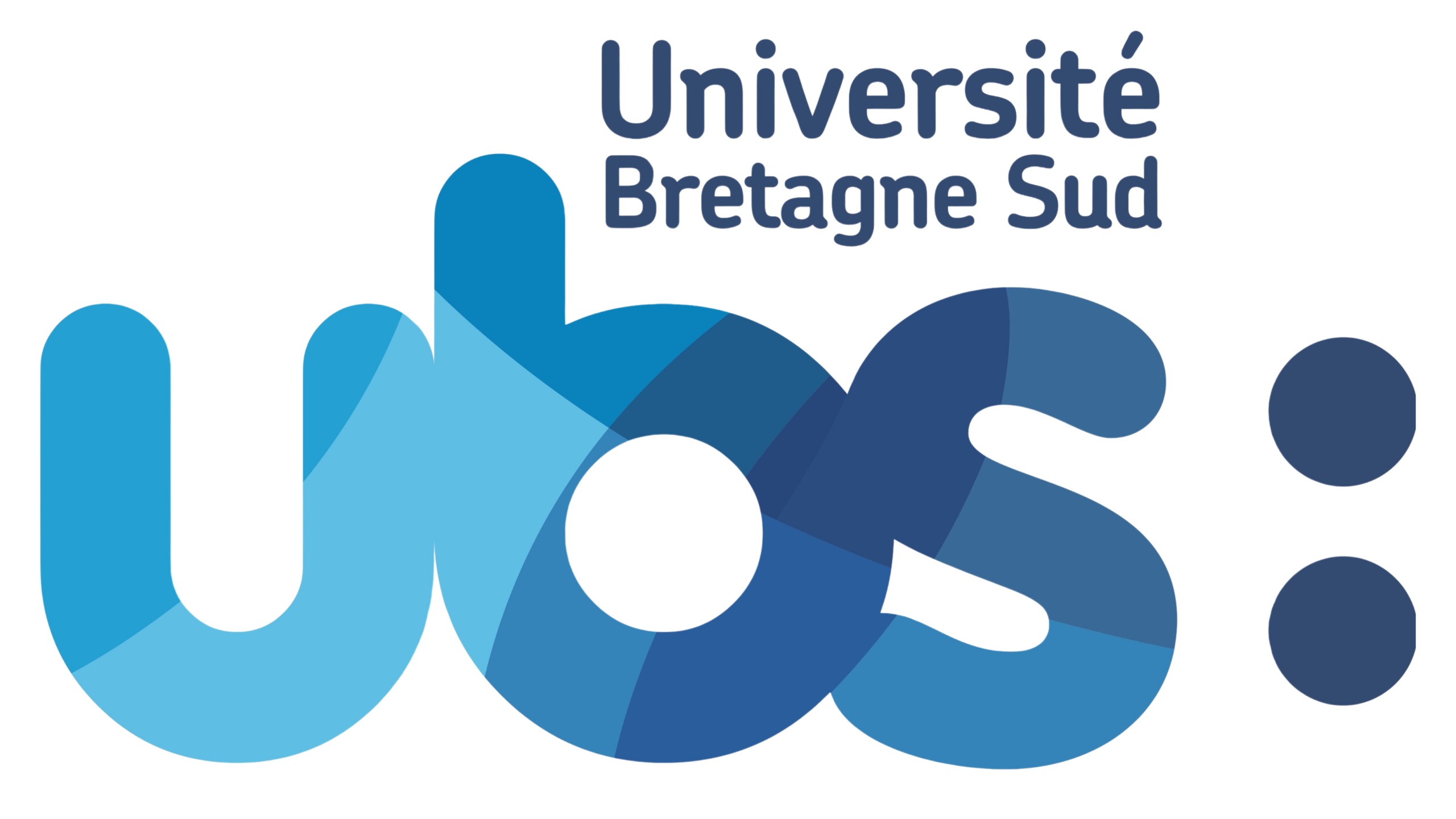 Logo Ubs Fond Transparent