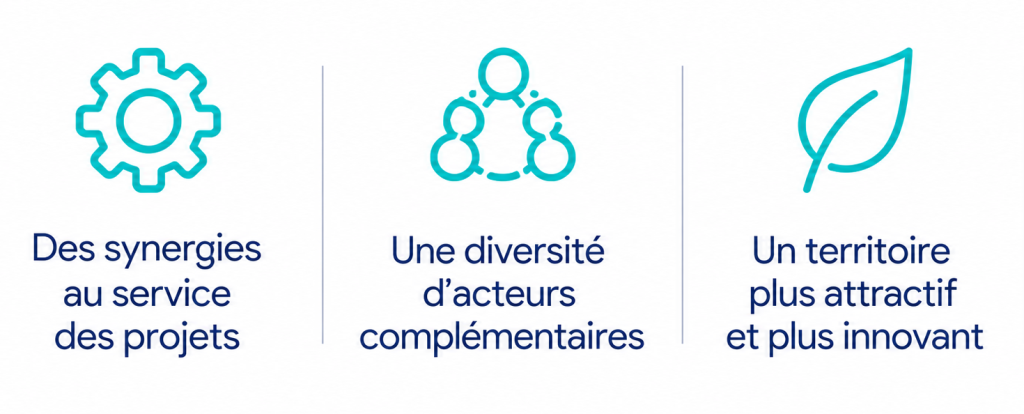Principes Ecosystème Innovation Vipe